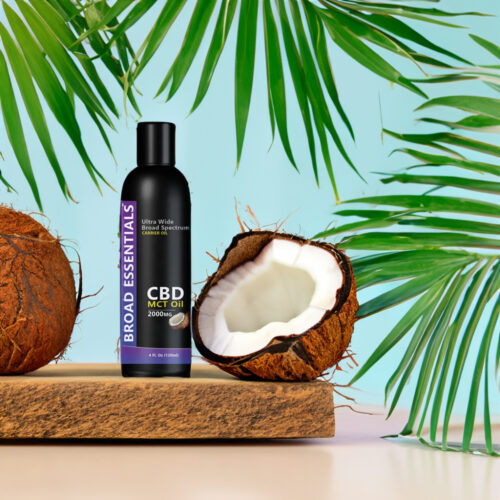 A bottle of CBD MCT Oil on a flat rock with an open coconut surrounded by palm leaves.