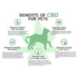 Infographic of CBD for pets | CBD For Dogs | CBD for cats | Tincture for dogs