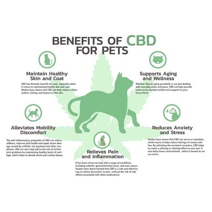 Infographic of CBD for pets | CBD For Dogs | CBD for cats | Tincture for dogs