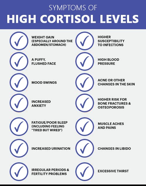 CBD and Cortisol Levels | CBD and Stress levels | How to lower your cortisol levels naturally