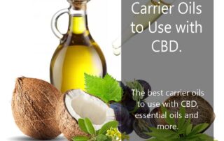 The best carrier oils for CBD | What carrier oils work best for CBD