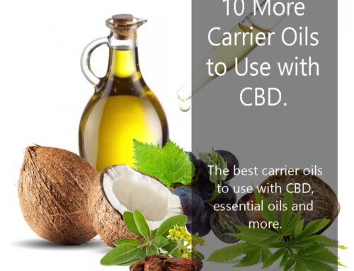 10 More Carrier Oil You Can Use With CBD infused Essential Oils