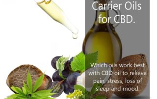 The best carrier oils for CBD | What carrier oils work best for CBD