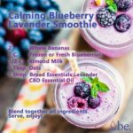 CBD Infused Blueberry Smoothie Recipe