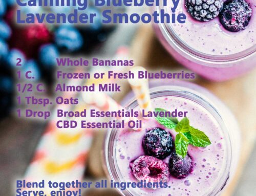 CBD Infused Blueberry Smoothie Recipe