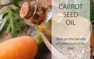 The benefits of Carrot Seed oil for your skin