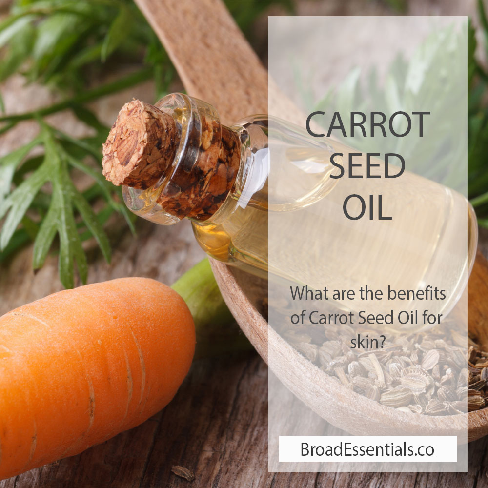 The benefits of Carrot Seed oil for your skin