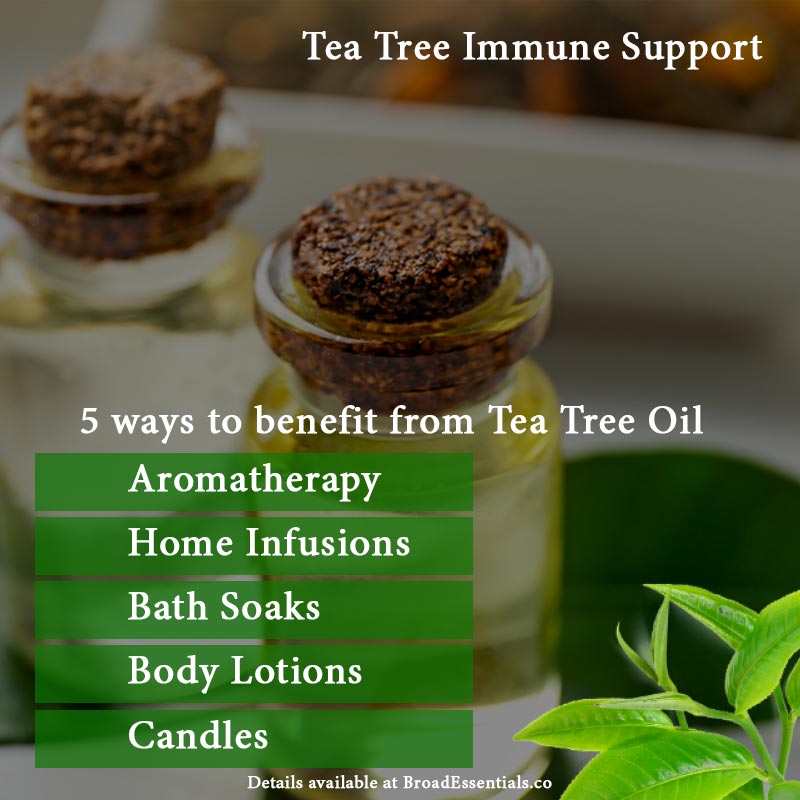 Best ways to benefit from Tea Tree Immune System Support