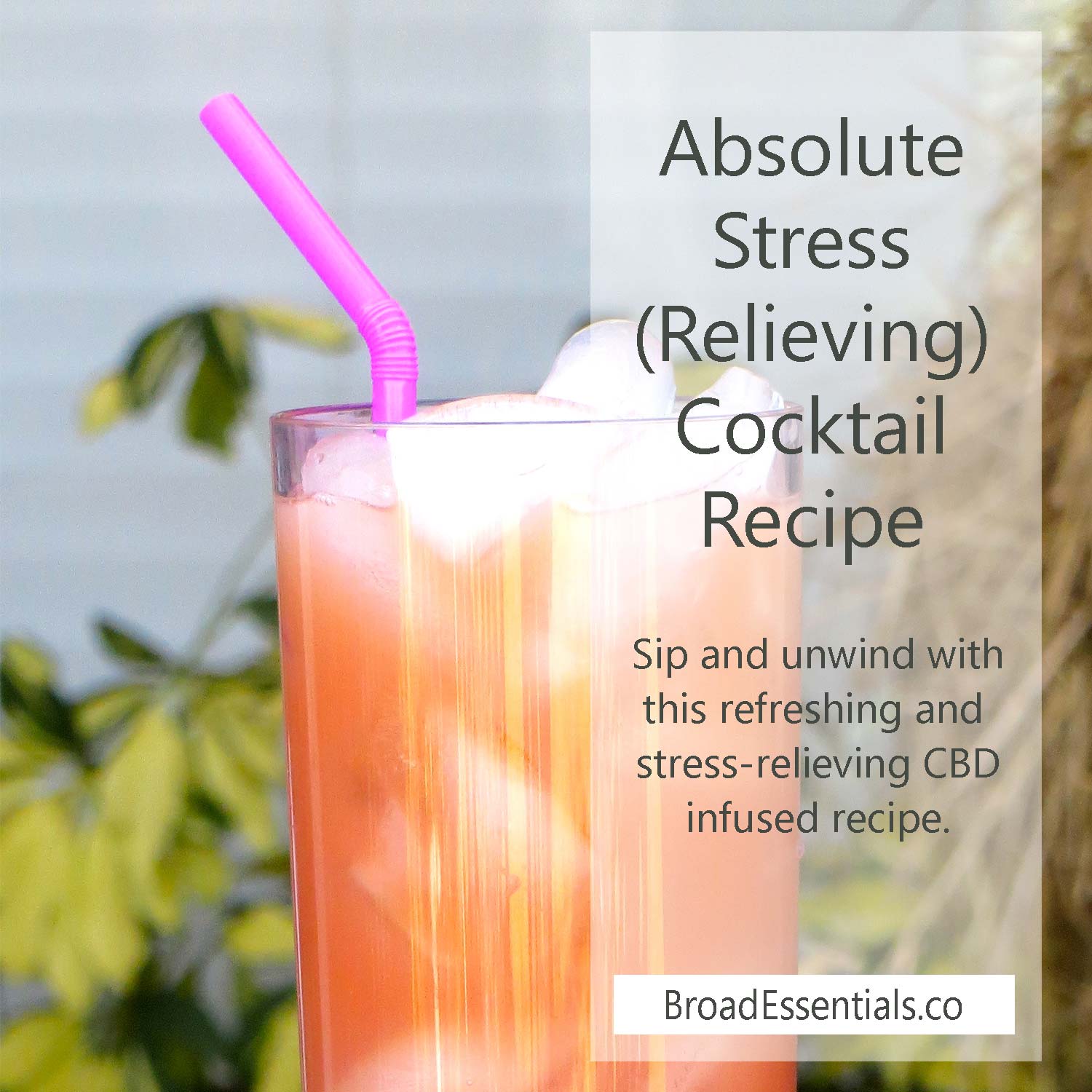 Absolute Stress (Relieving) Cocktail Recipe with CBD