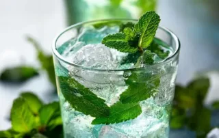 Glass of water with peppermint.